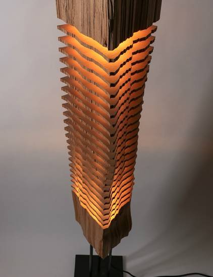 【走马观灯】年轮、光影、层层叠叠，似年华追忆的光