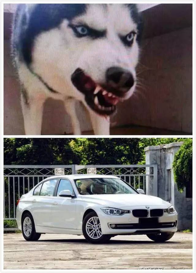 宝马只用了一个LED，就让其他车灯黯然无光