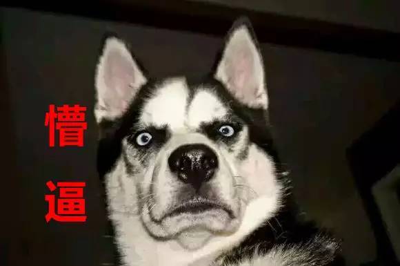 宝马只用了一个LED，就让其他车灯黯然无光