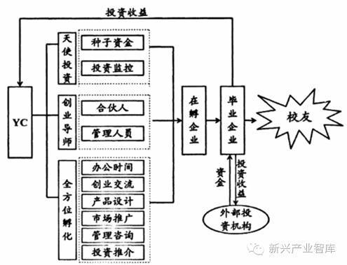 一只LED“菜鸟”的养成计：论孵化器企业创新创业发展