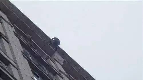 古镇灯饰老板跳楼因为空头支票？涉嫌造谣者被警方传唤