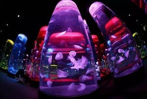 梦幻水族馆如诗如画