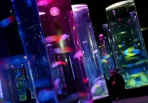 梦幻水族馆如诗如画
