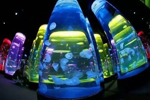 梦幻水族馆如诗如画