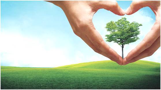 一颗LED的奥林匹克精神