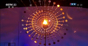 什么样的灯光最适合里约奥运时间？