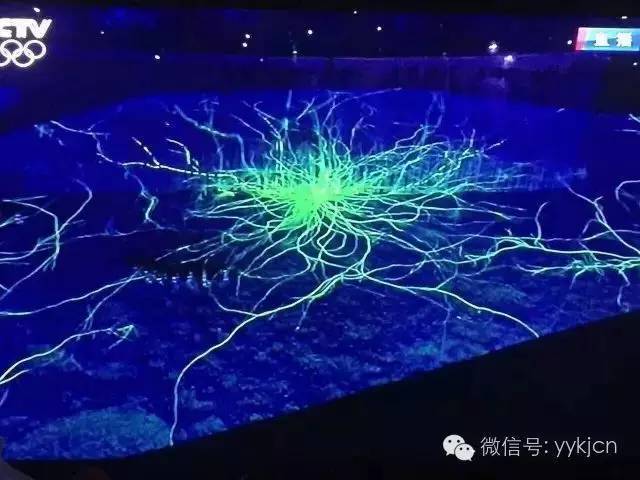 巴西奥运开幕式光影与设计