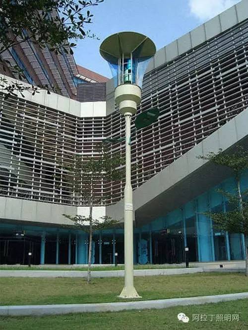 这样玩路灯靠谱吗？