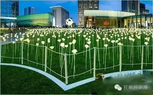 25000朵LED白玫瑰及两朵粉玫瑰点亮成都玫瑰仲夏