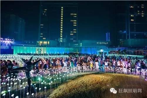 25000朵LED白玫瑰及两朵粉玫瑰点亮成都玫瑰仲夏