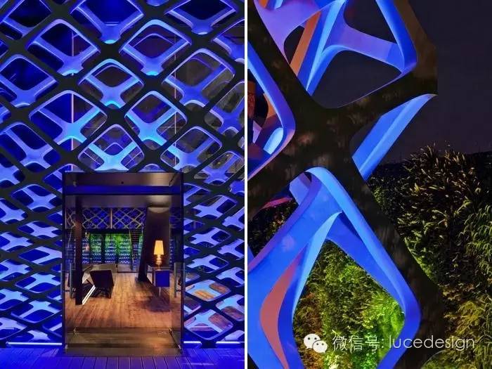 这儿是餐厅，是冲破天际的常春藤！