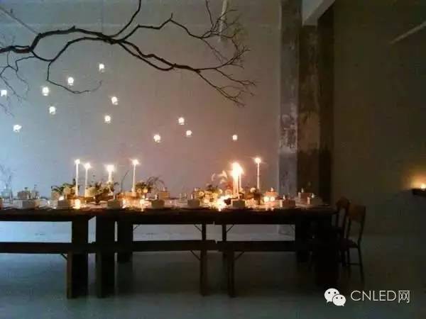 超美！树枝做的灯，让家里更具活力！