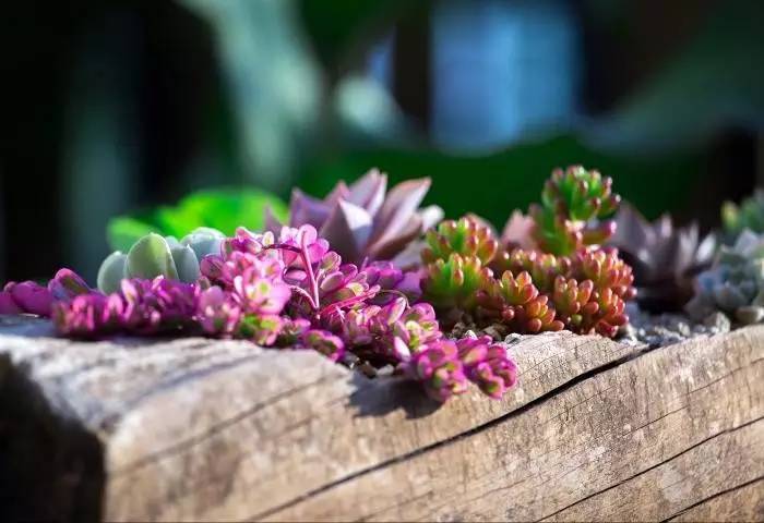 【A&P分享】精品民宿酒店設計