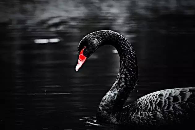 盘点：2016年LED行业十三大新闻事件