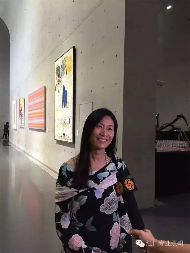 【红日专业照明业绩】龙美术馆