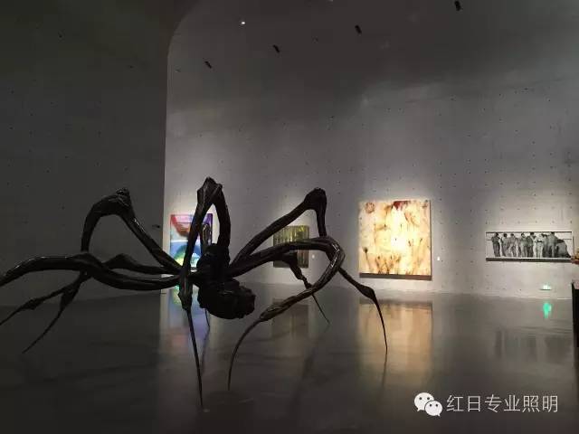 【红日专业照明业绩】龙美术馆