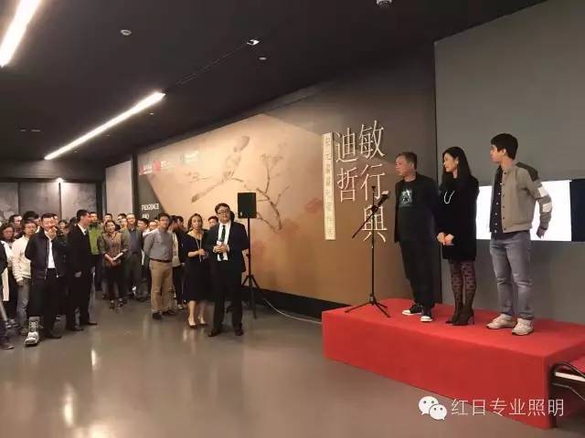 【红日专业照明业绩】龙美术馆