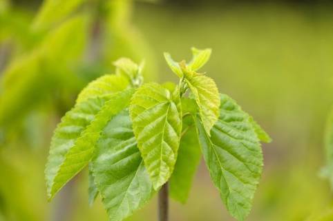 PANTONE 2017流行色对照明的影响