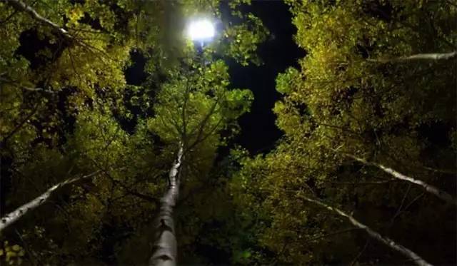 灯饰新闻早餐2016年10月22日（周六）