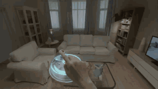 300年后的人类，看完让人目瞪口呆！