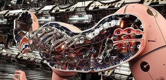 300年后的人类，看完让人目瞪口呆！