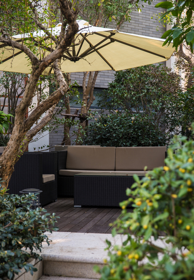 12月22日｜情怀与日常｜神秘嘉宾揭秘