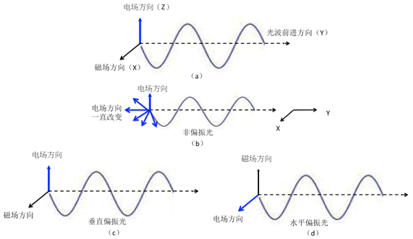 电影院的3D效果与巨大的讯息储存是怎么形成的？