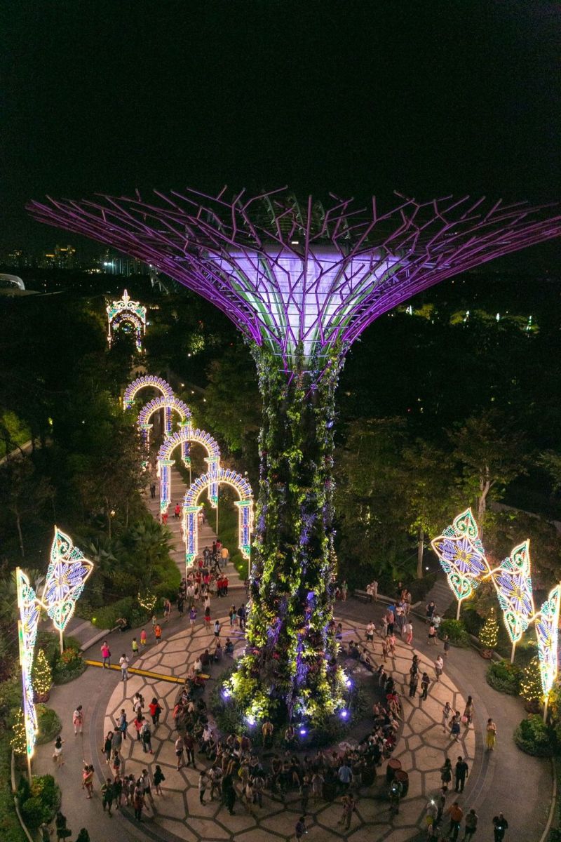 【盘点】| 重磅推荐！圣诞节的灯光艺术