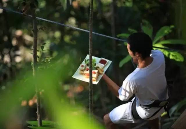 【A&P酒店】这些酒店单凭餐厅就足够吸引你了