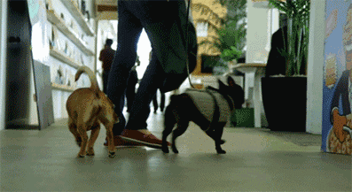 这才叫办公室！要是Airbnb进军联合办公，我选择天天加班！