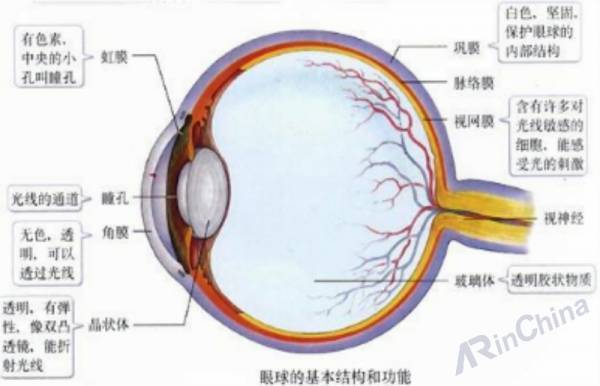 【好文】3D 电影、全息显示这些技术如何骗过我们的眼睛？
