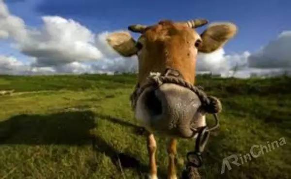 【好文】3D 电影、全息显示这些技术如何骗过我们的眼睛？