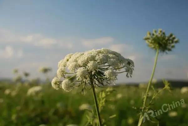 【好文】3D 电影、全息显示这些技术如何骗过我们的眼睛？