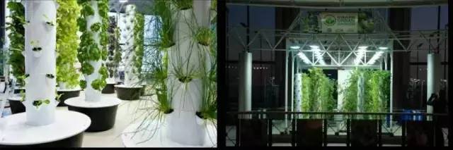 全球最顶级的13大高科技农场  LED都有参与