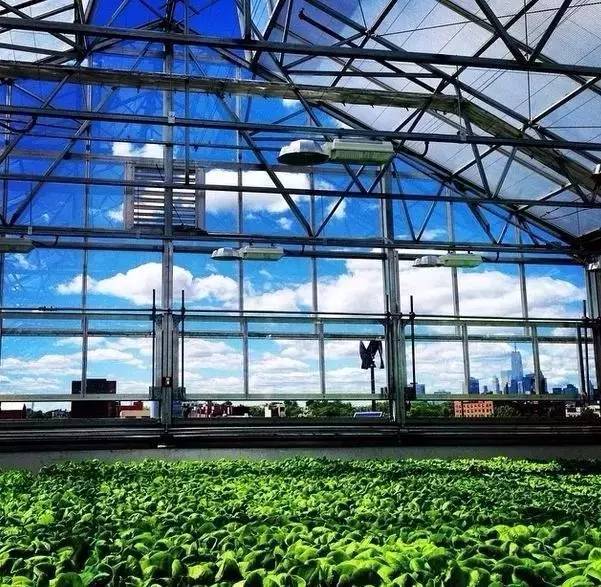 全球最顶级的13大高科技农场  LED都有参与