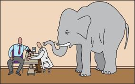 当LCD成了过去，而OLED又不是未来