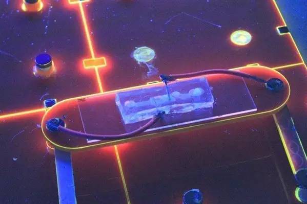 六种LED新技术与应用  哪种叫你眼前一亮？