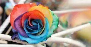 【科普】照明人必知的50个专业词汇