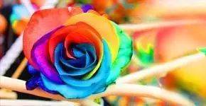 【科普】照明人必知的50个专业词汇