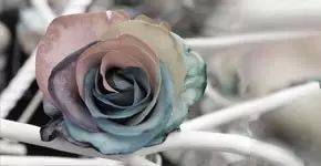 【科普】照明人必知的50个专业词汇