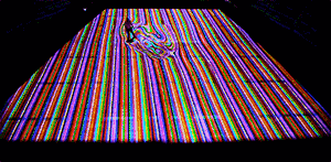 斑马 斑马 你不要睡着啦，我只是个匆忙的旅人啊！