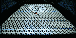 斑马 斑马 你不要睡着啦，我只是个匆忙的旅人啊！