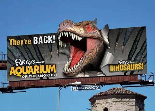 户外固装迎来发展新风潮