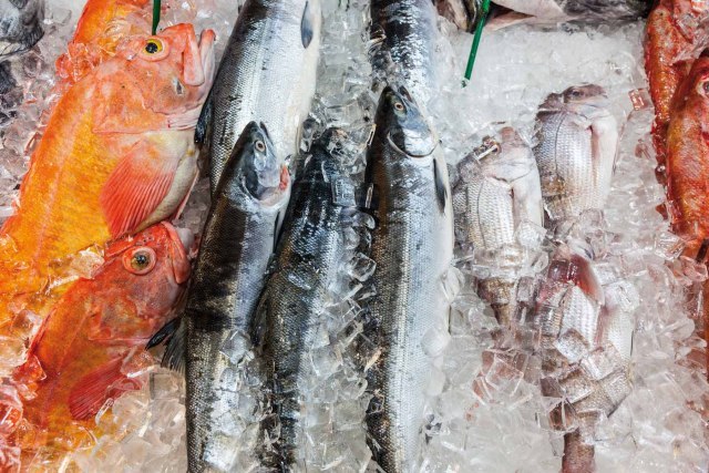 【全球首推】欧司朗首推红外 LED，开启传感技术消费品领域的全新应用