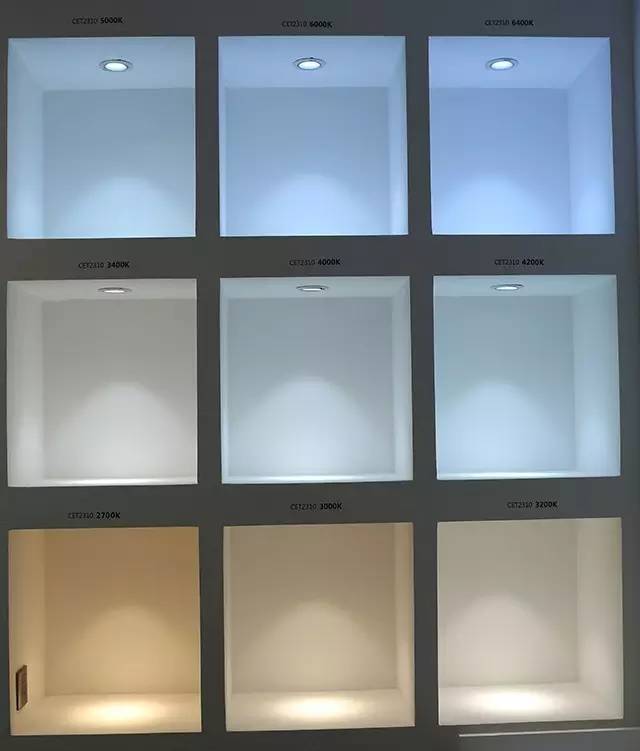 西顿展厅2.0来啦！