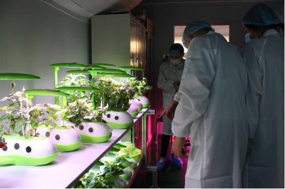 植物工厂如何降低成本？我们在东莞的这家企业找到了秘诀