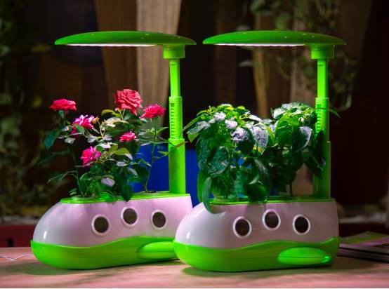 植物工厂如何降低成本？我们在东莞的这家企业找到了秘诀