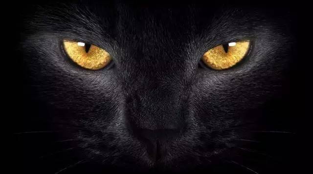 临沂灯具市场90后女黑猫，3000元起家刚做就月销30万