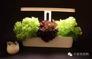 四类植物生长灯市场分析LED生长灯成长空间巨大