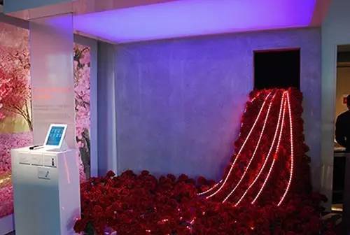 跟随欧司朗DS，来一场童话奇幻历险记吧！